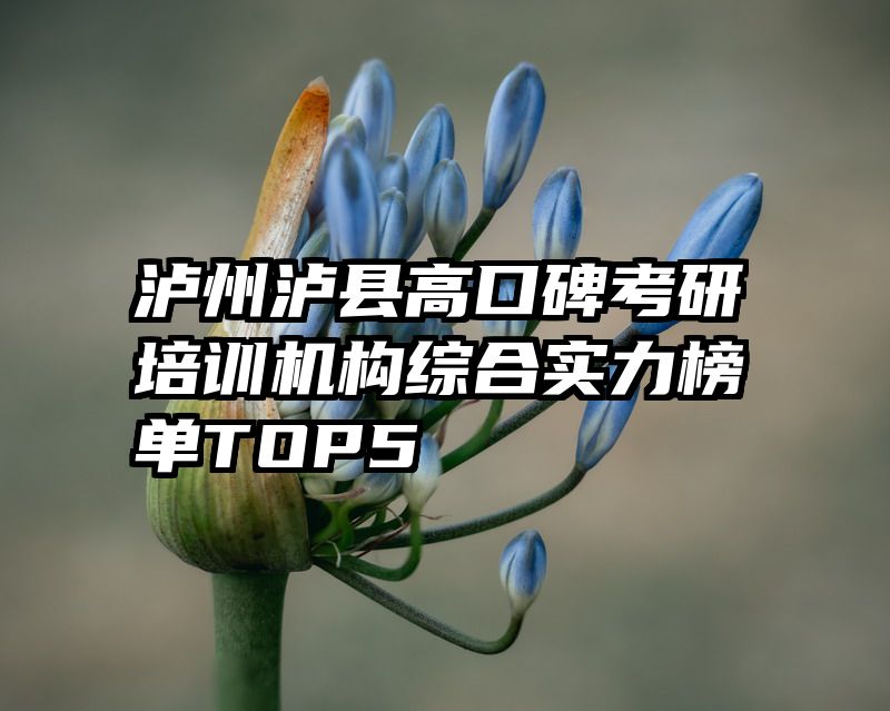 泸州泸县高口碑考研培训机构综合实力榜单TOP5
