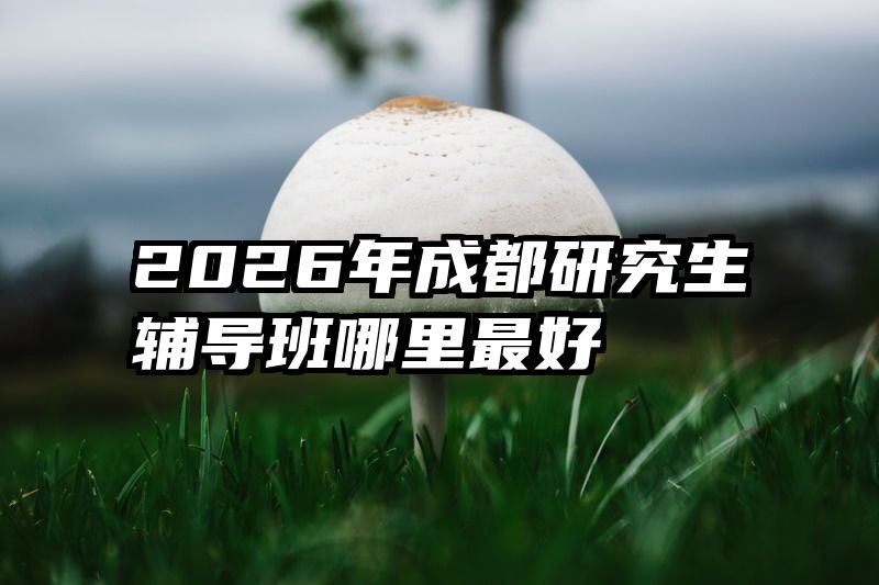 2026年成都研究生辅导班哪里最好