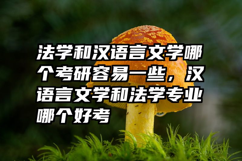 法学和汉语言文学哪个考研容易一些，汉语言文学和法学专业哪个好考