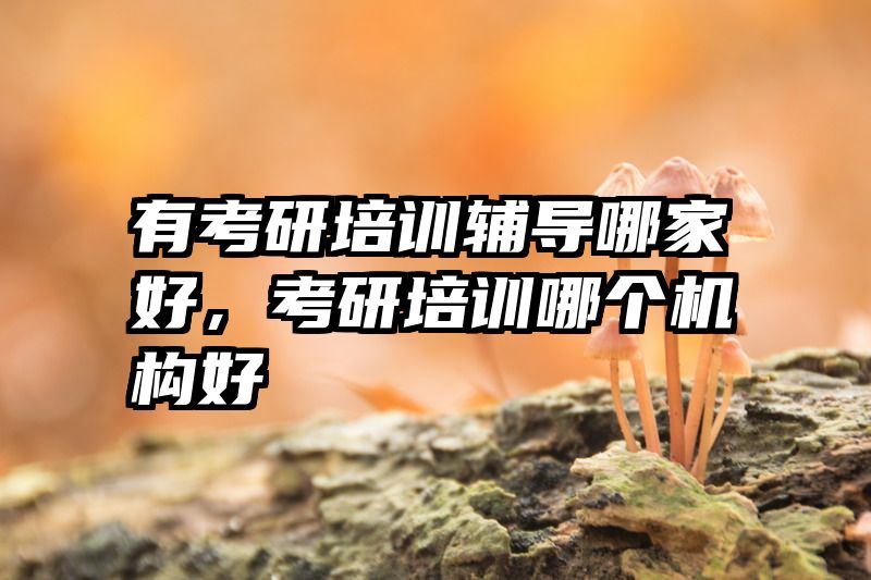 有考研培训辅导哪家好,考研培训哪个机构好