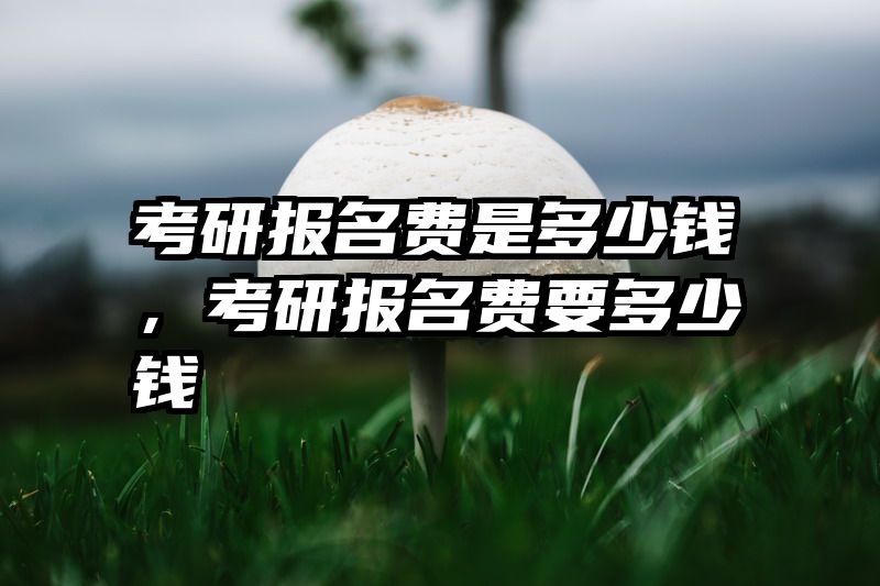考研报名费是多少钱,考研报名费要多少钱