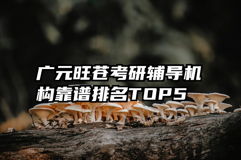 广元旺苍考研辅导机构靠谱排名TOP5