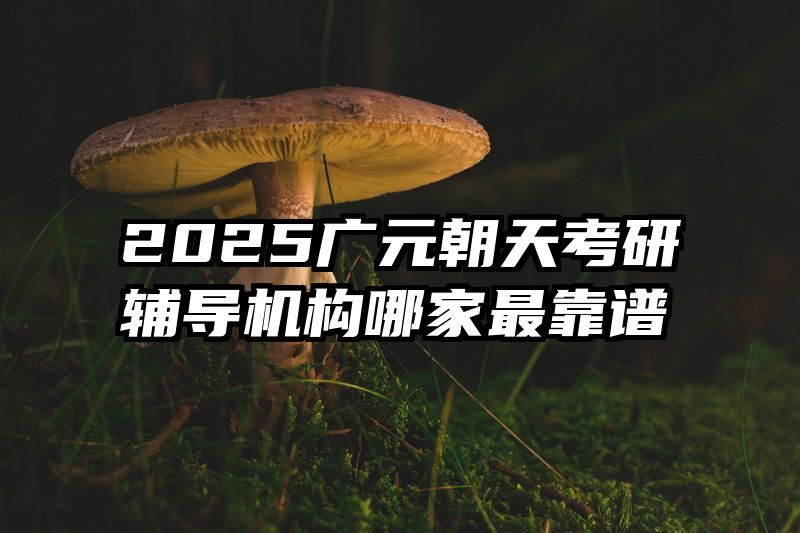 2025广元朝天考研辅导机构哪家最靠谱