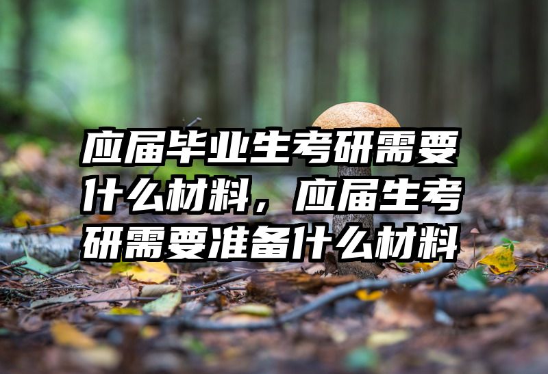 应届毕业生考研需要什么材料,应届生考研需要准备什么材料