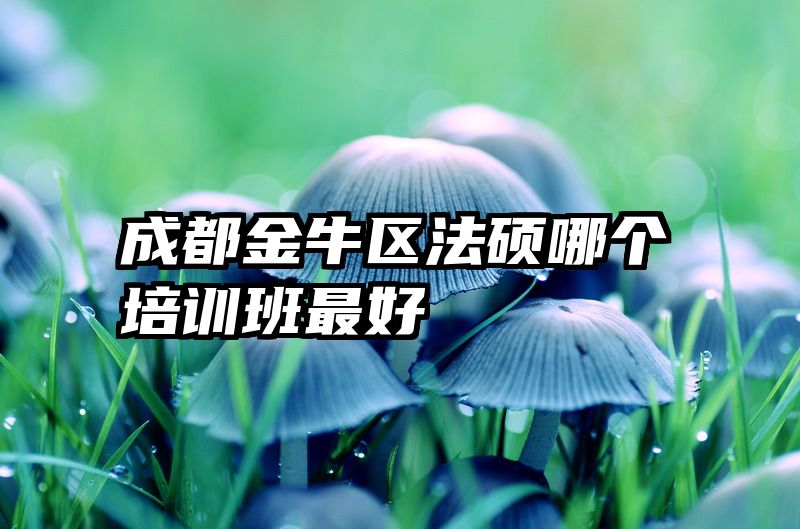 成都金牛区法硕哪个培训班最好