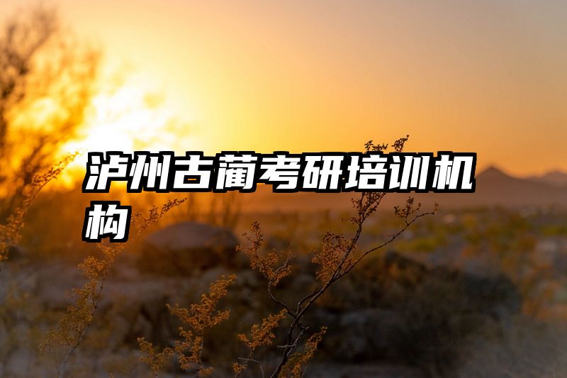 泸州古蔺考研培训机构