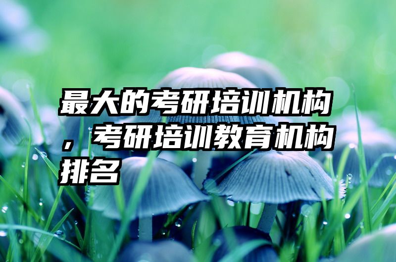 最大的考研培训机构,考研培训教育机构排名