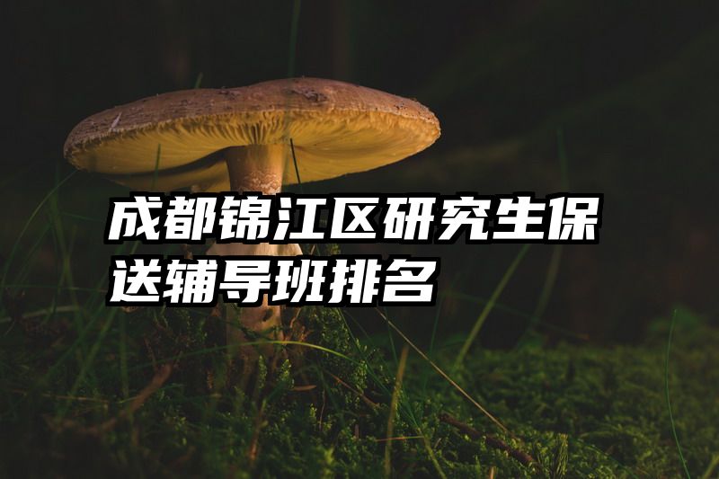 成都锦江区研究生保送辅导班排名